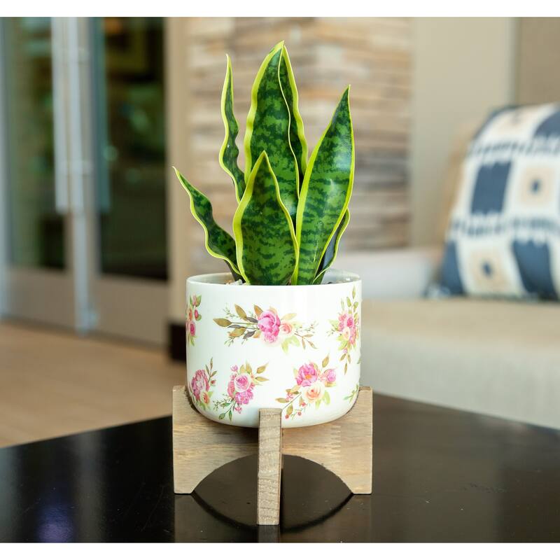 12" Artificial Plant Fake Snake Plant in Ceramic on Stand ONESIZE